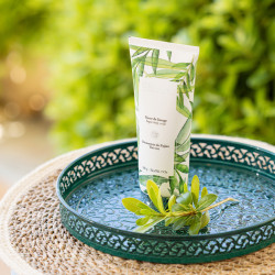 Sucre de lissage - Thé vert - Découverte du Fujian