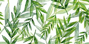 Découverte du Fujian