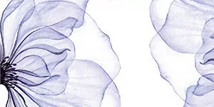 Jeunesse Fondamentale